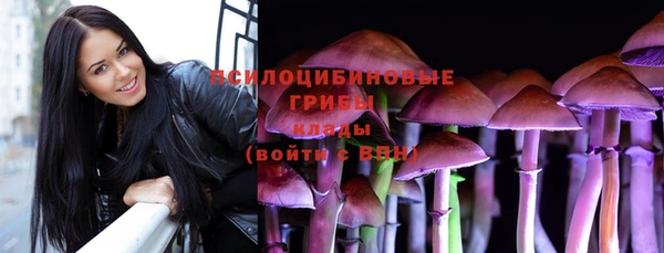 кристаллы Гусев