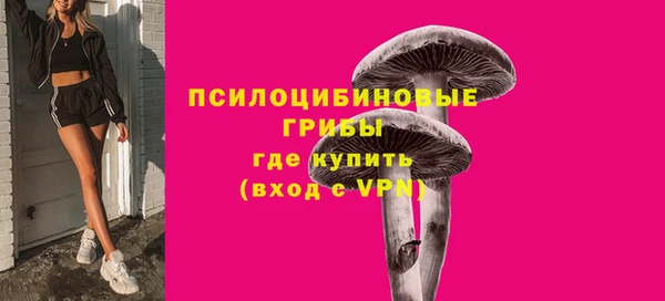 кристаллы Гусев