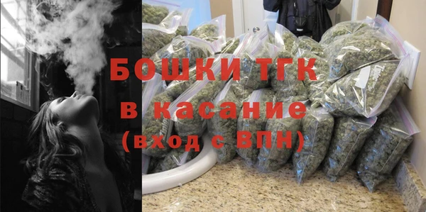 СК Гусь-Хрустальный