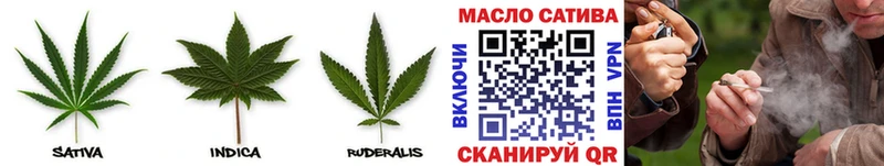 это Telegram  Дмитриев  ТГК THC oil  купить закладку  ссылка на мегу вход 