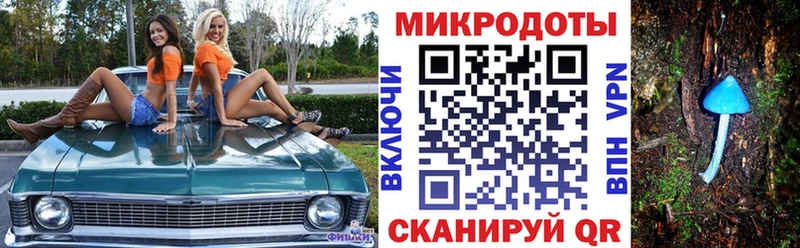 хочу наркоту  Дмитриев  Галлюциногенные грибы GOLDEN TEACHER 